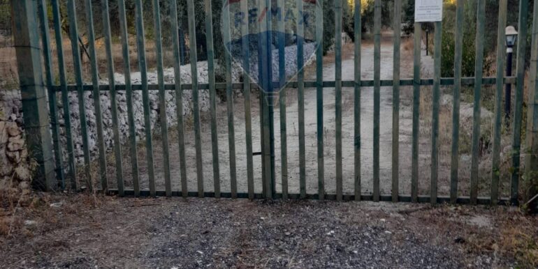 20251014111256-993513-14