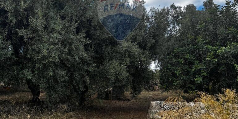 20251014111315-993513-22