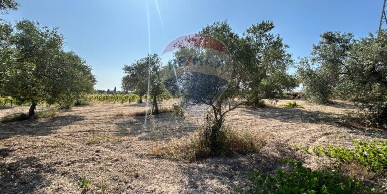 20251014123151-993578-4