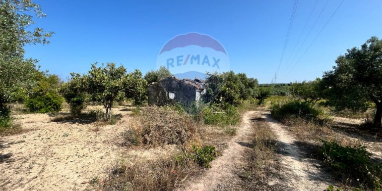 20251014123155-993578-5