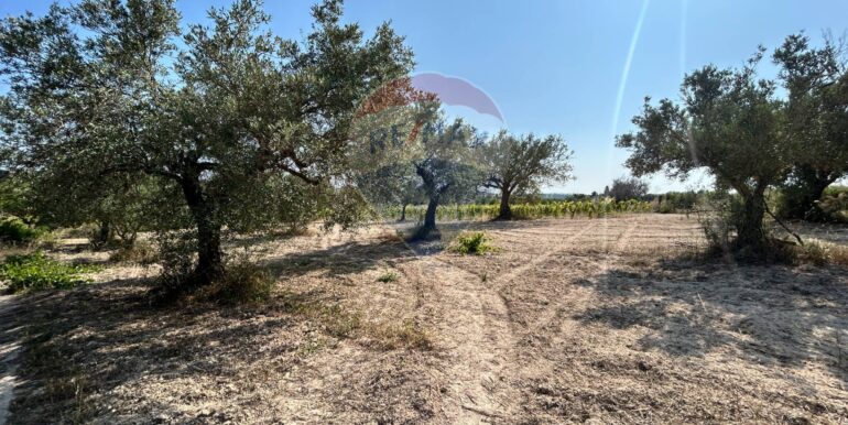 20251014123200-993578-6