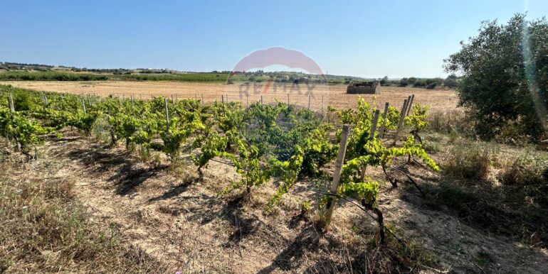 20251014123208-993578-8