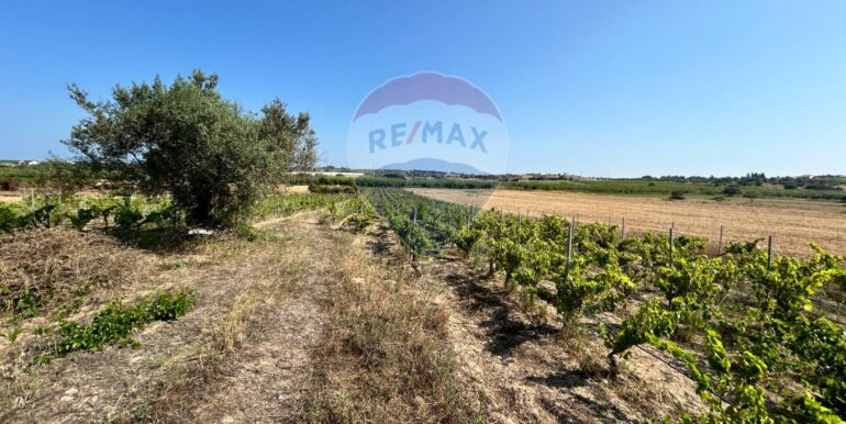 20251014123212-993578-9