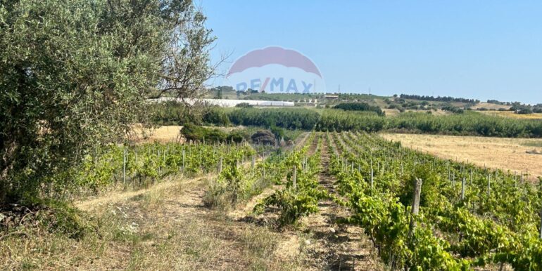 20251014123215-993578-10