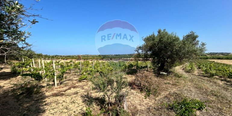 20251014123220-993578-11