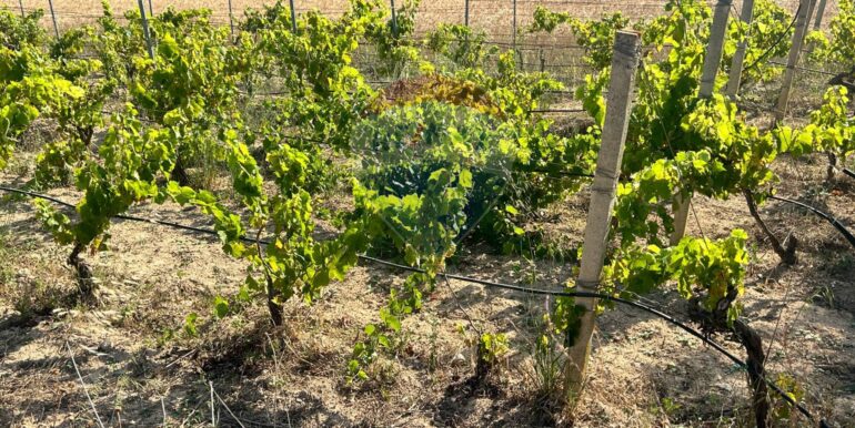 20251014123224-993578-12