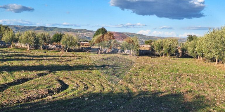 2025101495453-993420-2