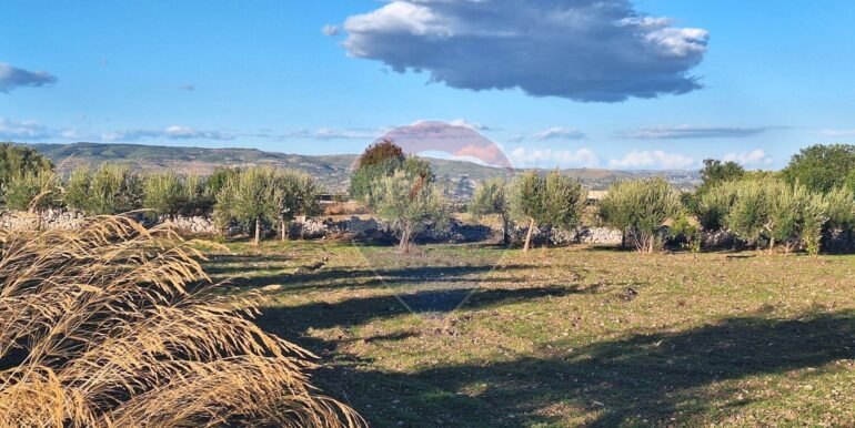 2025101495457-993420-3