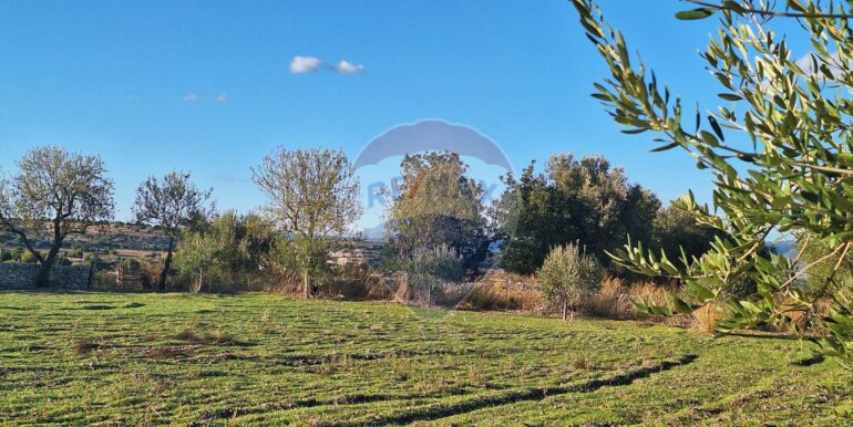 2025101495503-993420-5