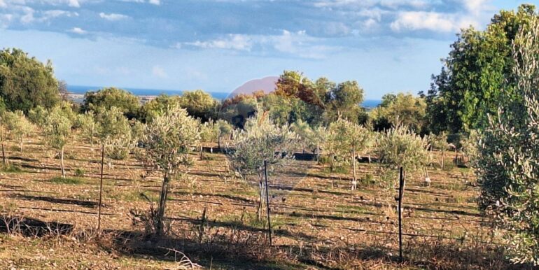 2025101495506-993420-6