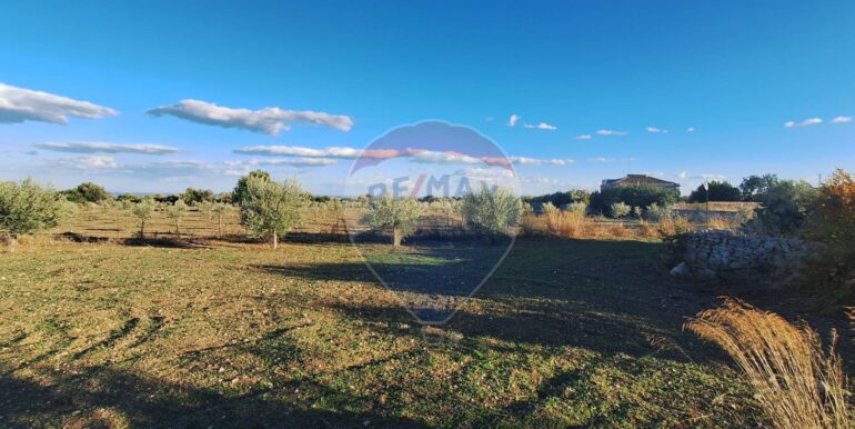 2025101495512-993420-8