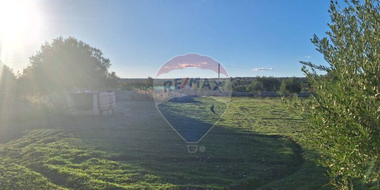 2025101495515-993420-9