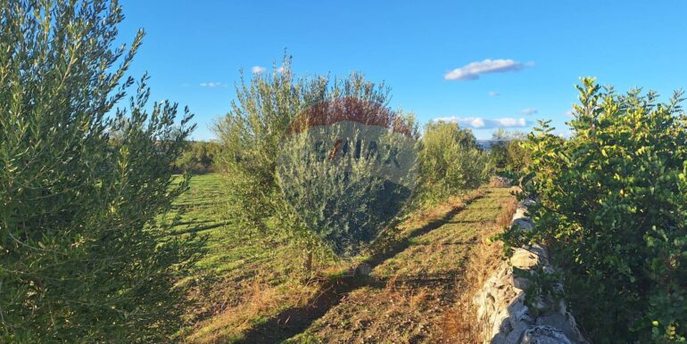 2025101495518-993420-10