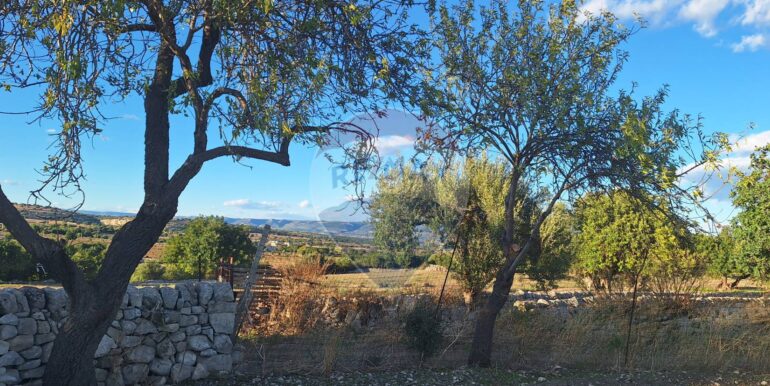 2025101495522-993420-11