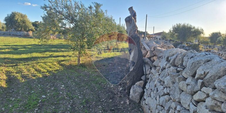 2025101495528-993420-13