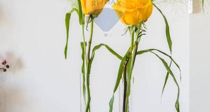 20251015174028-993894-5