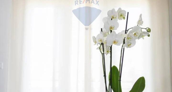 20251015174809-993895-1