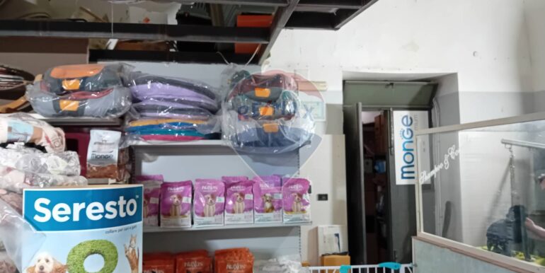 20251019195941-994439-4