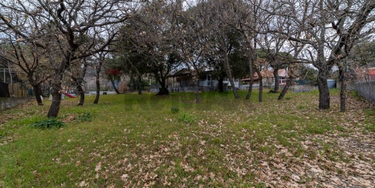 20251021192207-995272-6