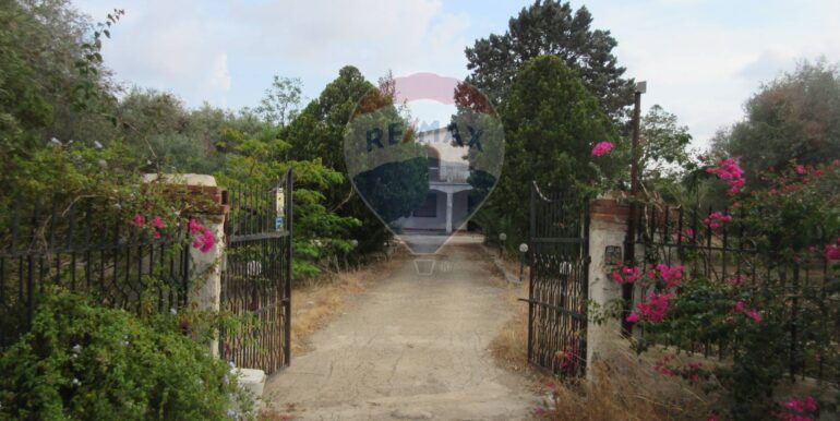 20251021195129-995279-0