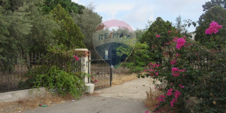 20251021195129-995279-1