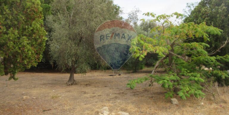 20251021195130-995279-3