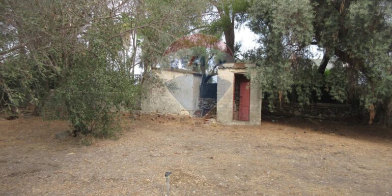 20251021195130-995279-6