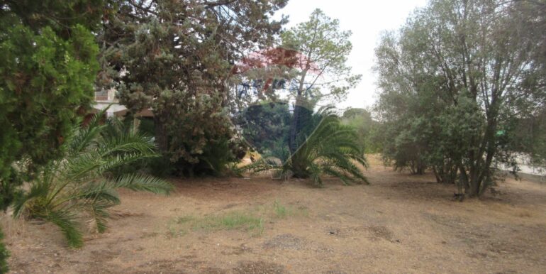 20251021195131-995279-7