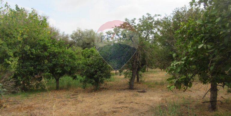 20251021195132-995279-14