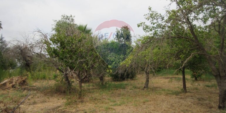 20251021195133-995279-18