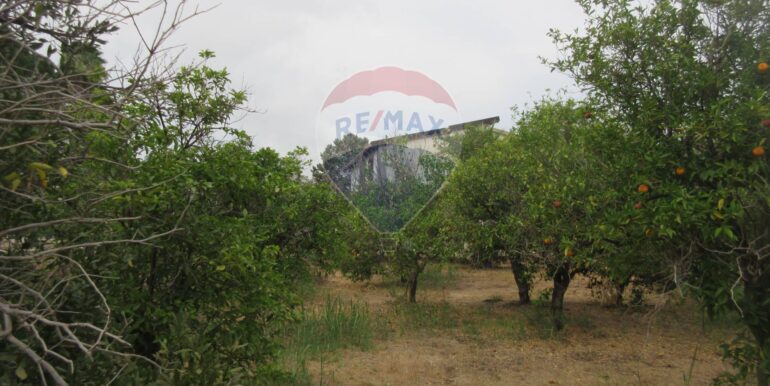 20251021195133-995279-19