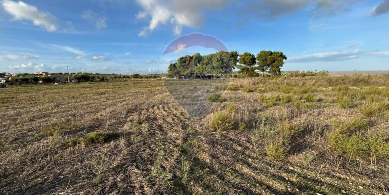 20251023175952-994509-2