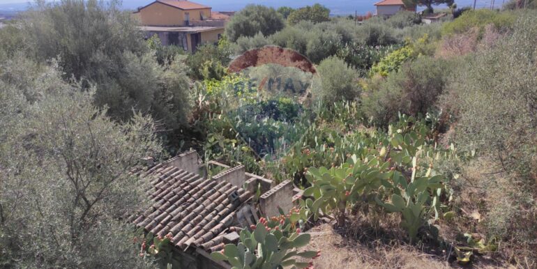 20251025105334-995994-3