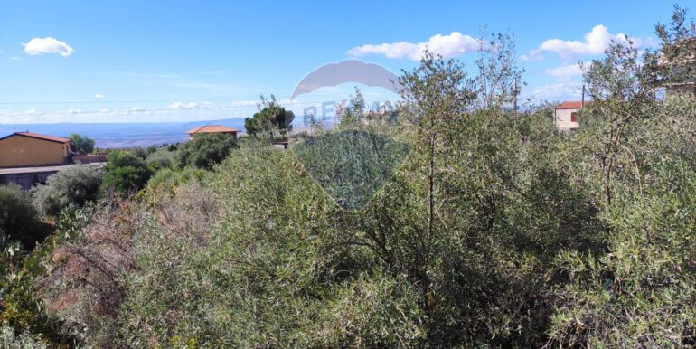 20251025105345-995994-6