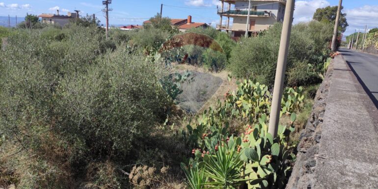 20251025105356-995994-9