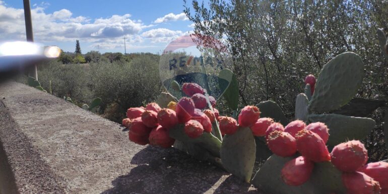 20251025105404-995994-11