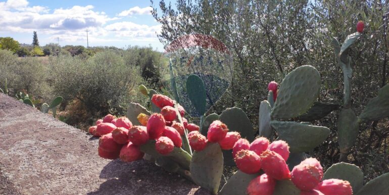 20251025105407-995994-12