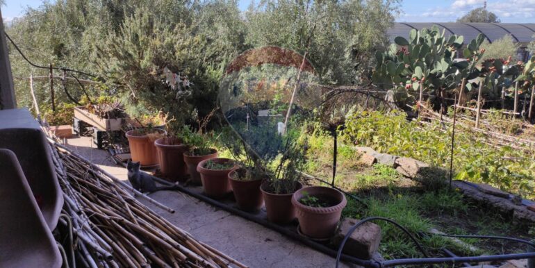 20251025113319-996074-7