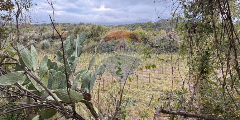 20251030174713-997310-4