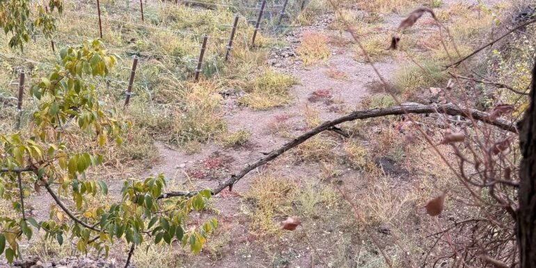 20251030175116-997310-5