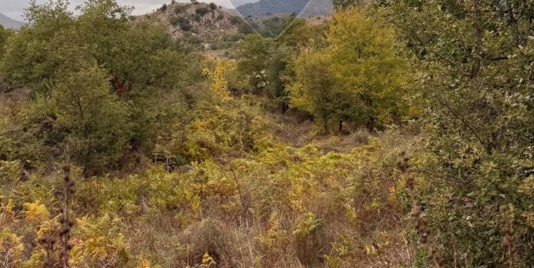 20251030175200-997310-6