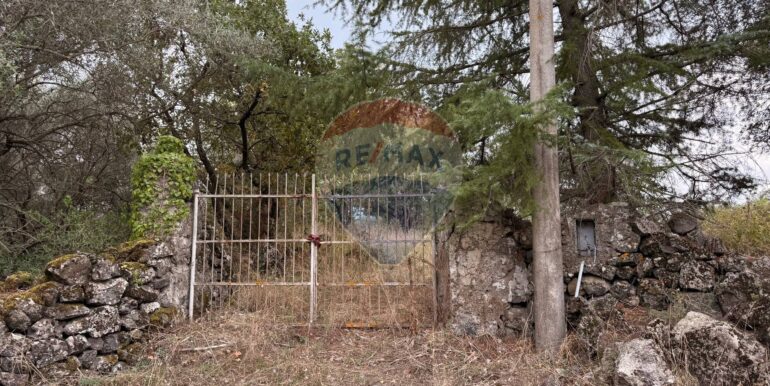 20251030175449-997310-10