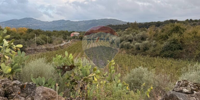 20251030175517-997310-14