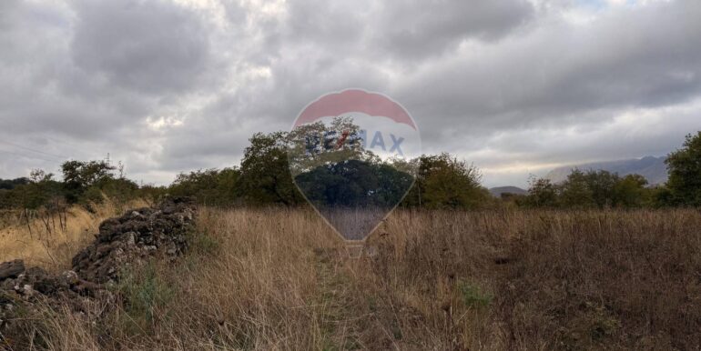 20251030175529-997310-16