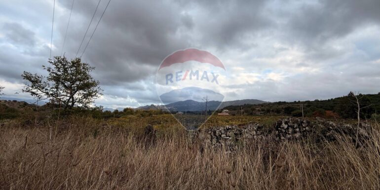 20251030175625-997310-20