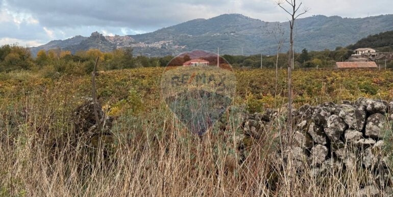 20251030175707-997310-21