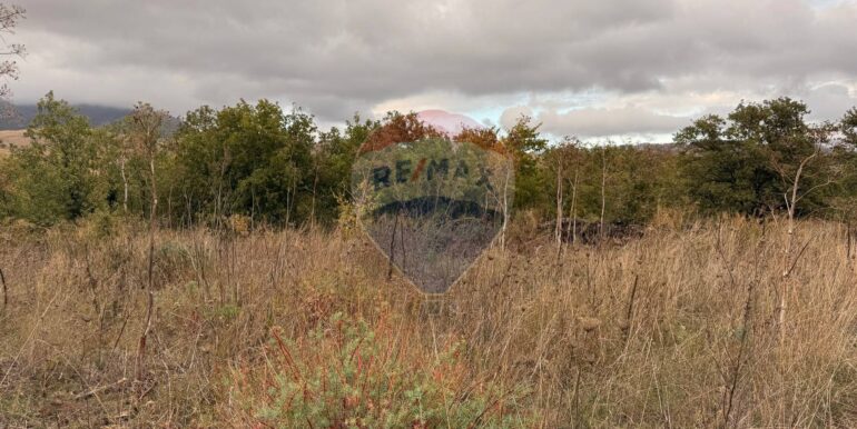 20251030175713-997310-22