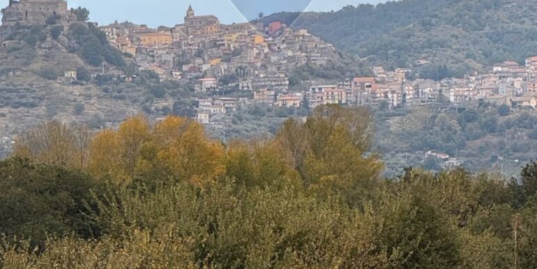 20251030175722-997310-24