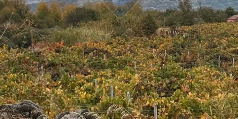 20251030175726-997310-25