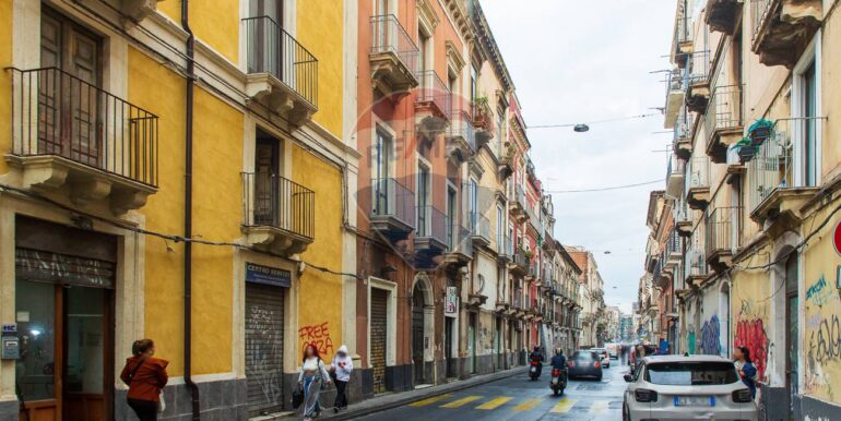 20251105114136-998353-1